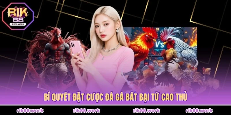 Bí quyết đặt cược đá gà bất bại từ cao thủ