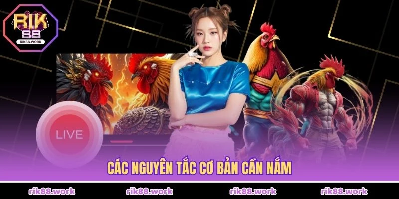 Các nguyên tắc cơ bản cần nắm