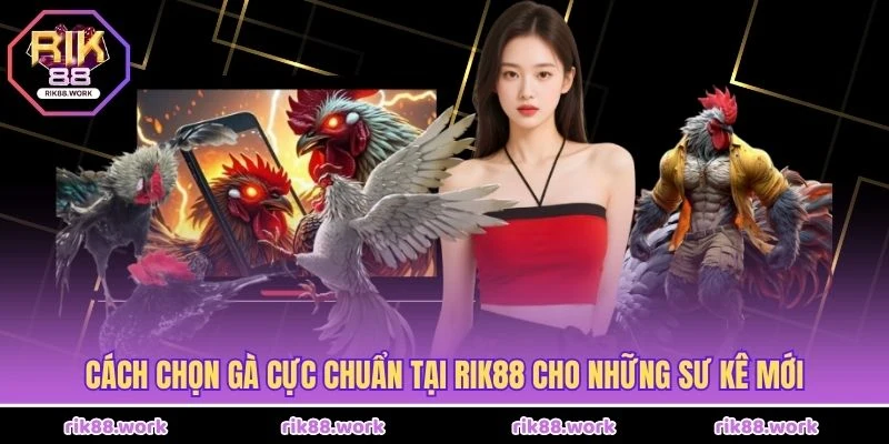 Cách Chọn Gà Đá Hay