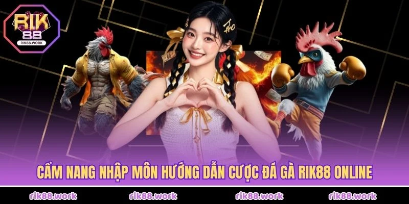 Cẩm nang nhập môn hướng dẫn cược đá gà Rik88 online
