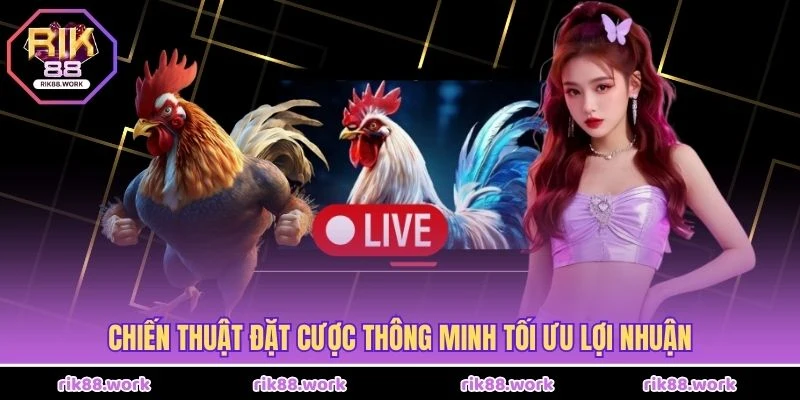 Chiến thuật đặt cược thông minh tối ưu lợi nhuận