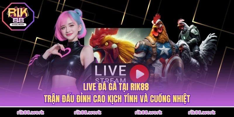 Live Đá Gà Tại Rik88