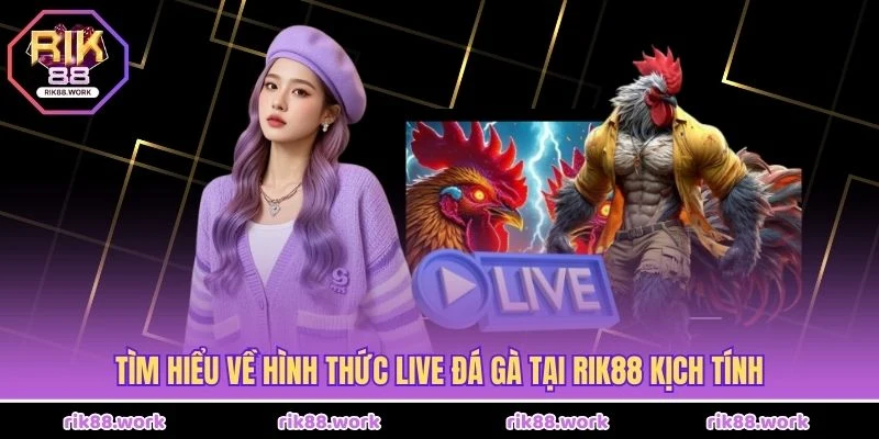 Tìm hiểu về hình thức Live Đá Gà Tại Rik88 kịch tính