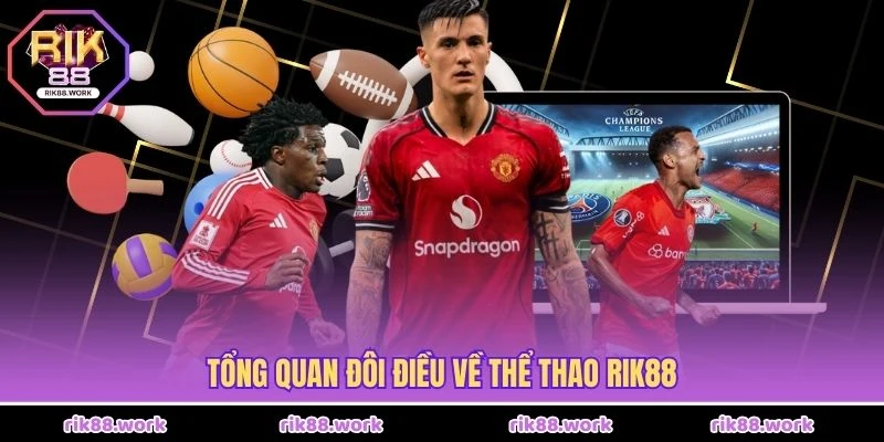 Tổng quan đôi điều về thể thao Rik88