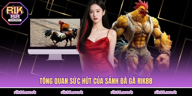 Tổng quan sức hút của sảnh đá gà Rik88